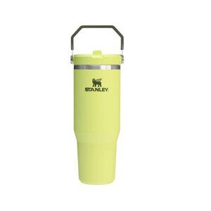 NWT Stanley IceFlow™ Flip Straw Tumbler | 30 OZ - Prickly Pear (Sold Out)